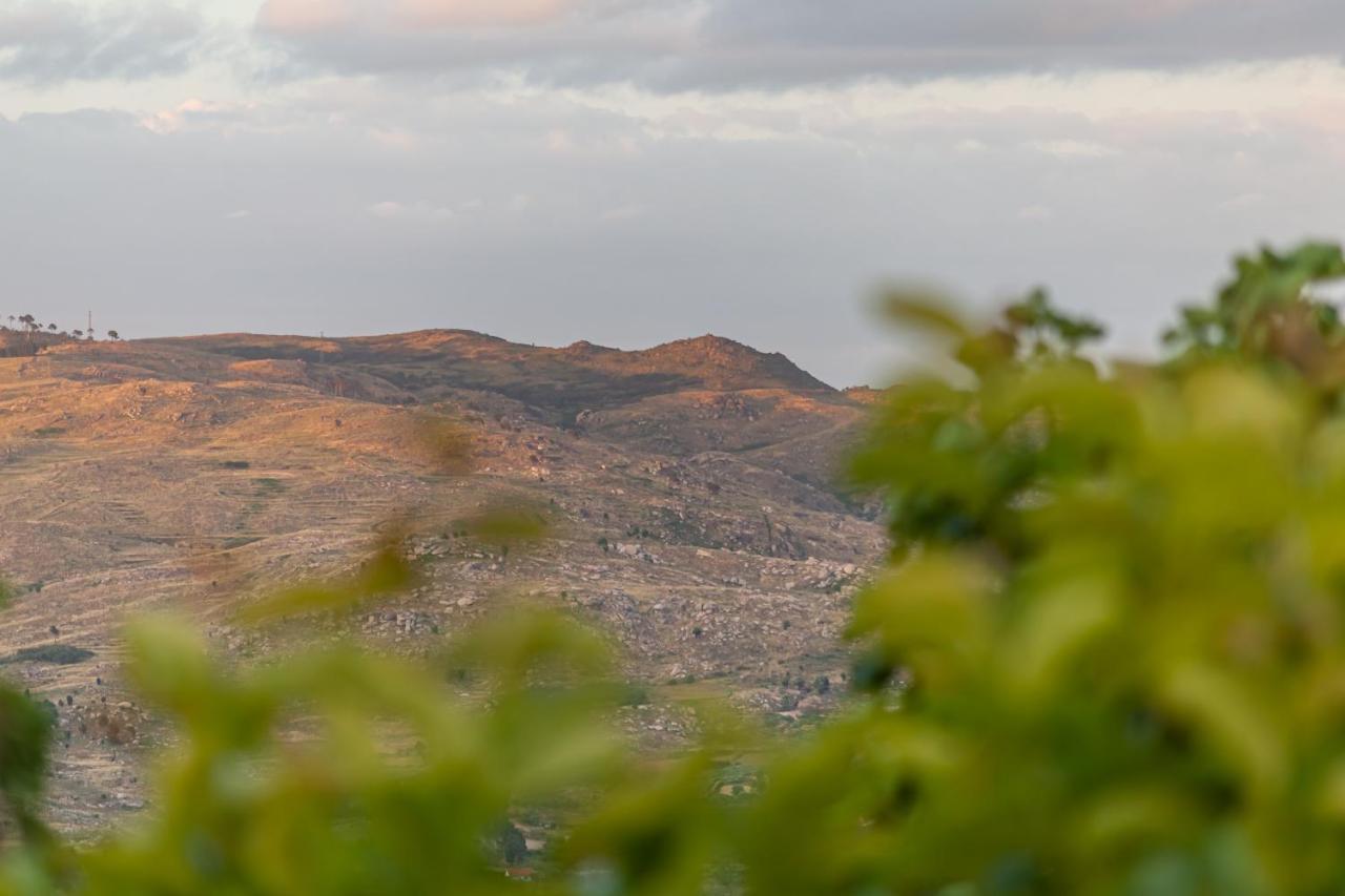 Casas Da Fraga - Serra Da Estrela Fornos de Algodres Dış mekan fotoğraf