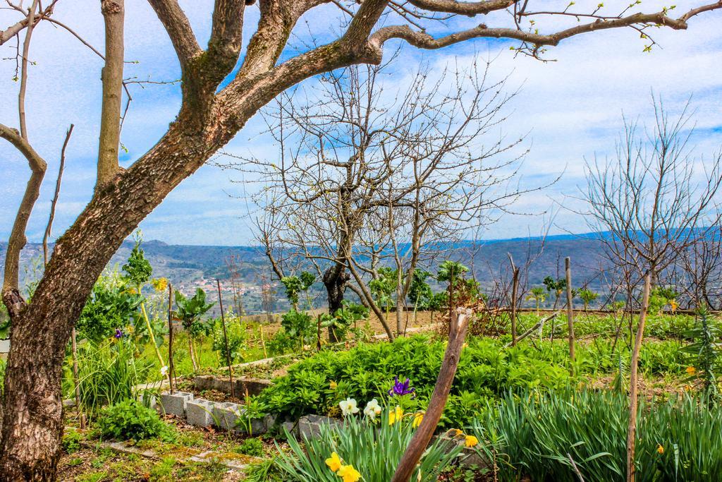 Casas Da Fraga - Serra Da Estrela Fornos de Algodres Dış mekan fotoğraf